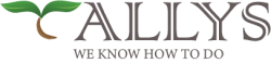 Logo Tallys